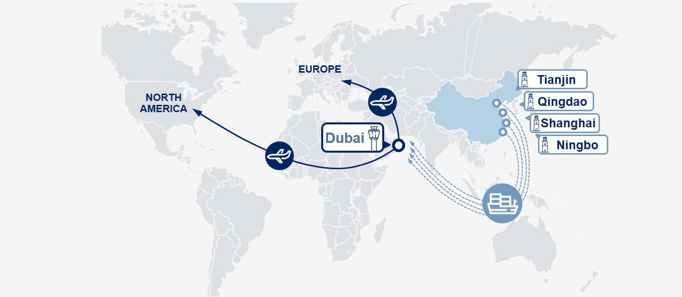 DSV Sea Air Service